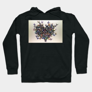 Butterfly Heart Hoodie